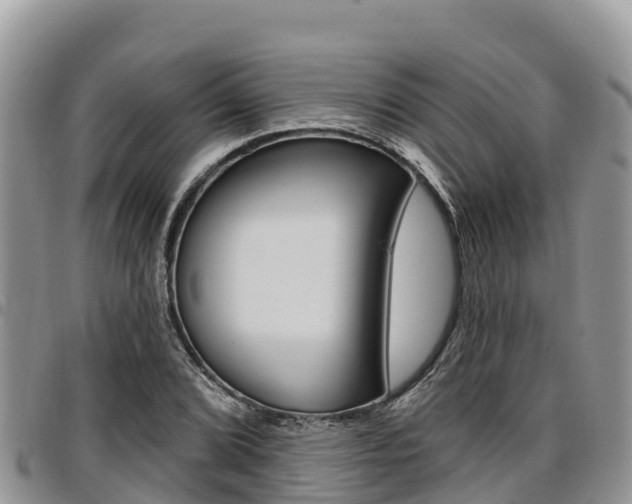 X0000097291072200802151053