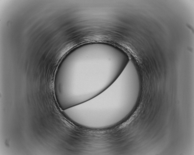 X0000097291073200802151053