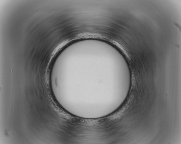 X0000097291074200802151053