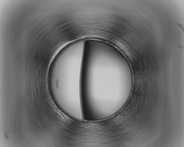 X0000097291076200802151053