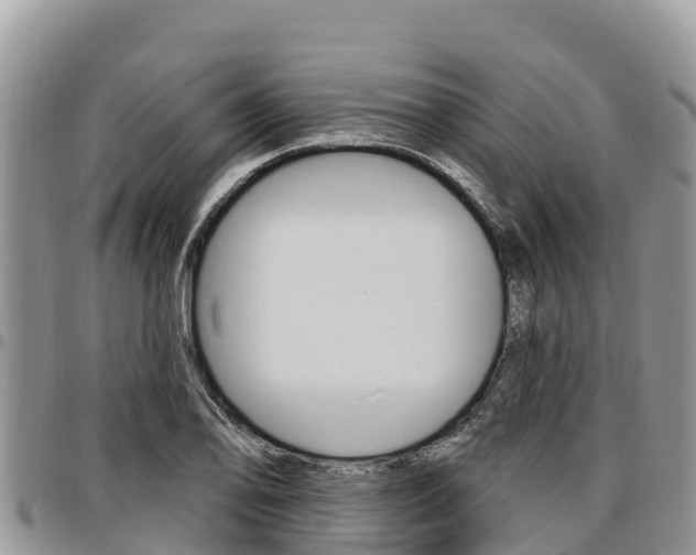 X0000097291078200802151053