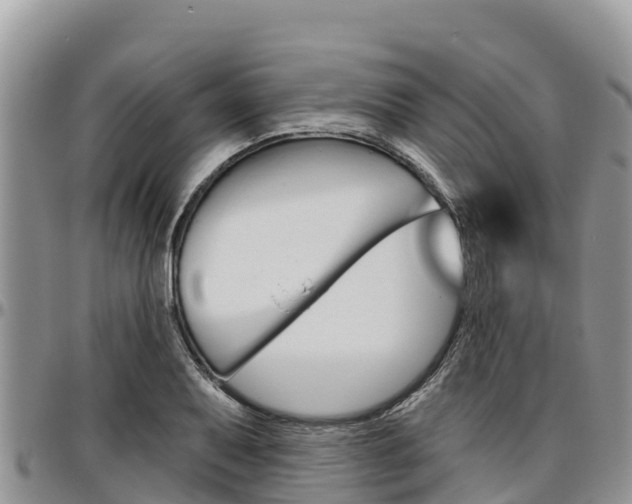 X0000097291079200802151053