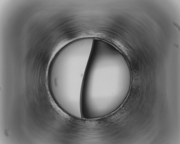 X0000097291080200802151053
