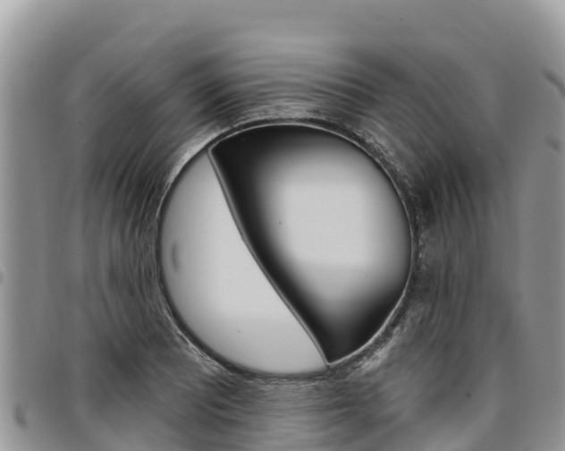 X0000097291081200802151053