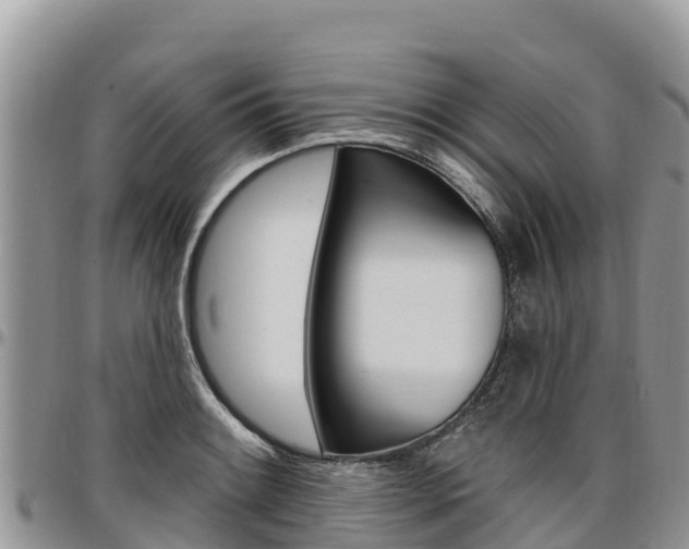 X0000097291084200802151053