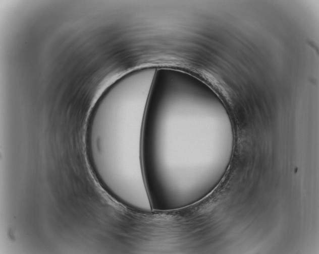X0000097291085200802151053