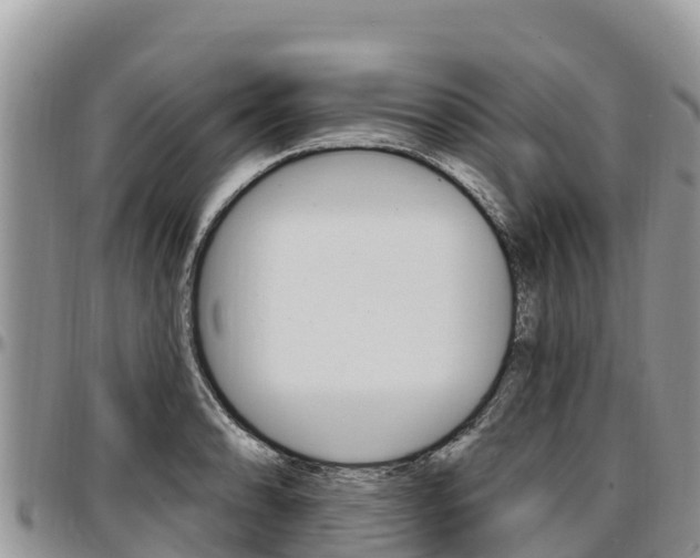 X0000097291086200802151053
