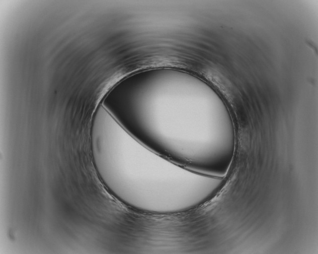 X0000097291089200802151053