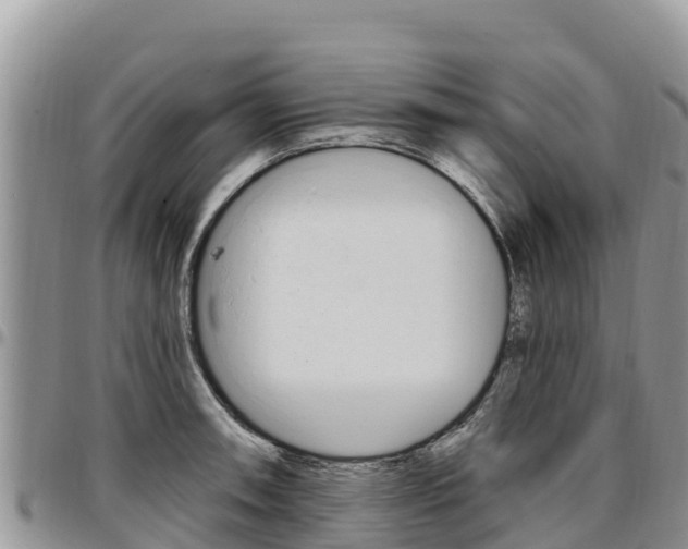 X0000097291090200802151053