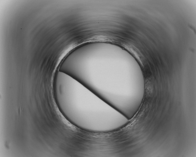 X0000097291091200802151053