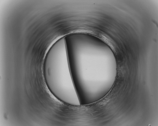 X0000097291092200802151053