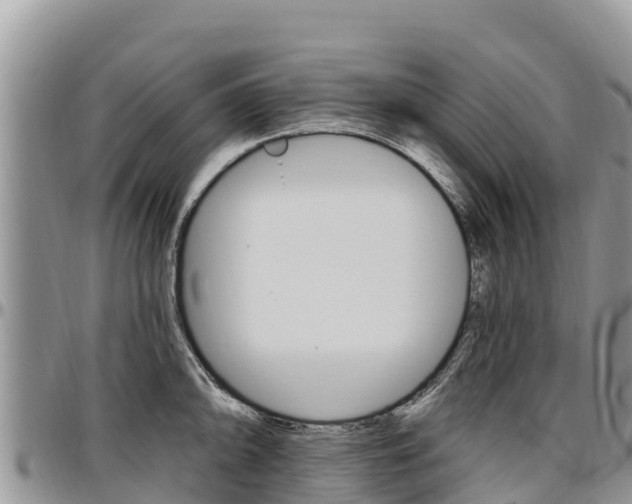 X0000097291094200802151053