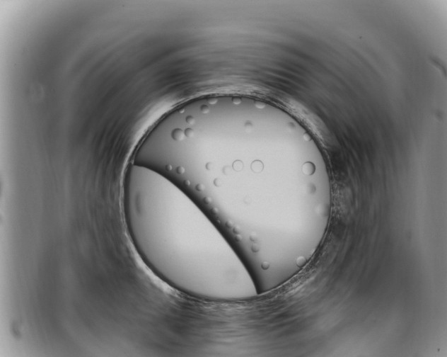 X0000097291095200802151053