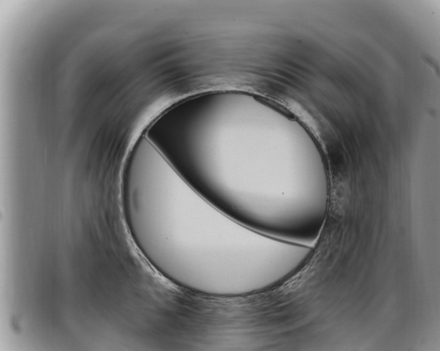 X0000097291096200802151053
