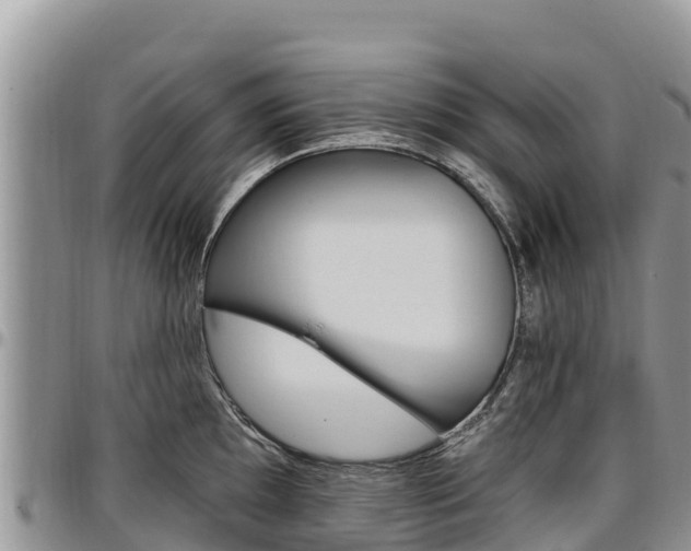 X0000097291097200802151053