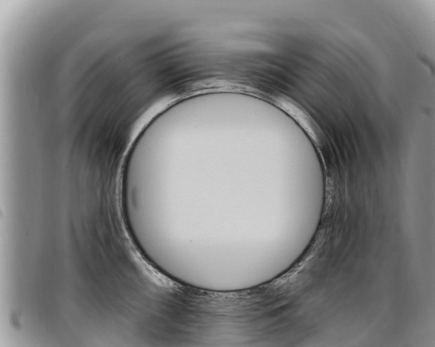 X0000097291098200802151053