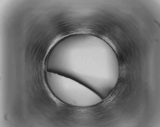 X0000097291099200802151053