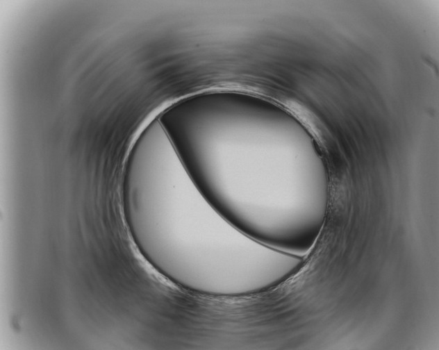 X0000097291100200802151053