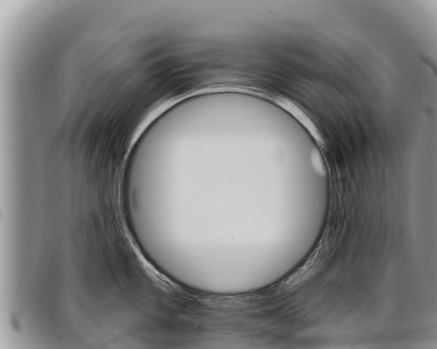 X0000097291101200802151053