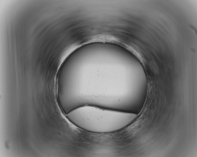 X0000097291103200802151053