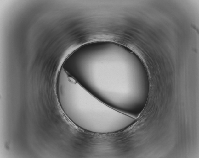 X0000097291104200802151053