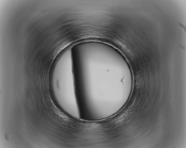 X0000097291113200802151052