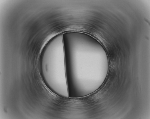 X0000097291123200802151052