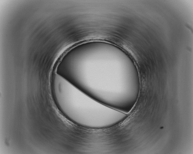 X0000097291124200802151052