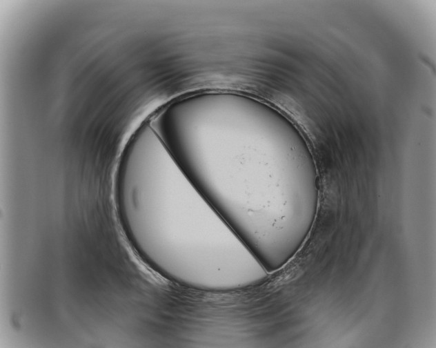 X0000097291128200802151052