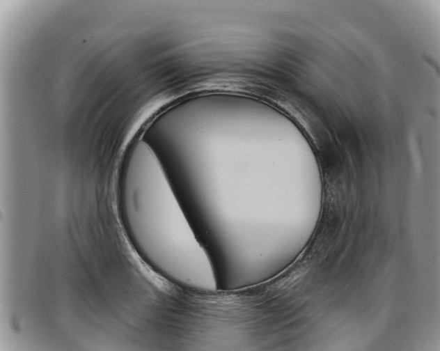 X0000097291131200802151052