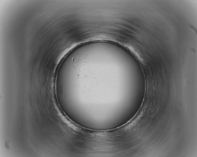 X0000097291134200802151052