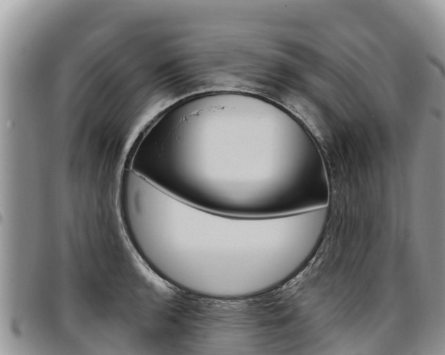 X0000097291136200802151052