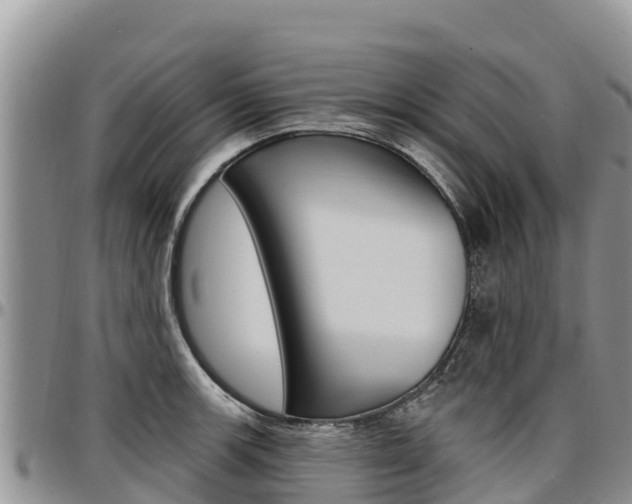 X0000097291139200802151052