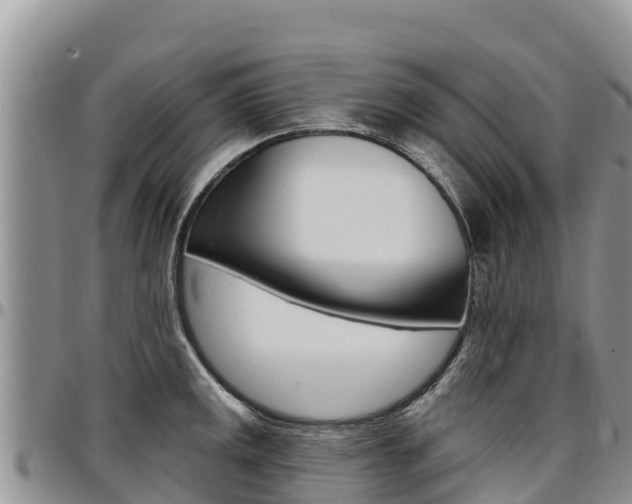 X0000097291141200802151053