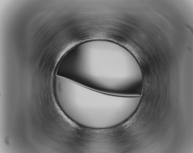 X0000097291142200802151053