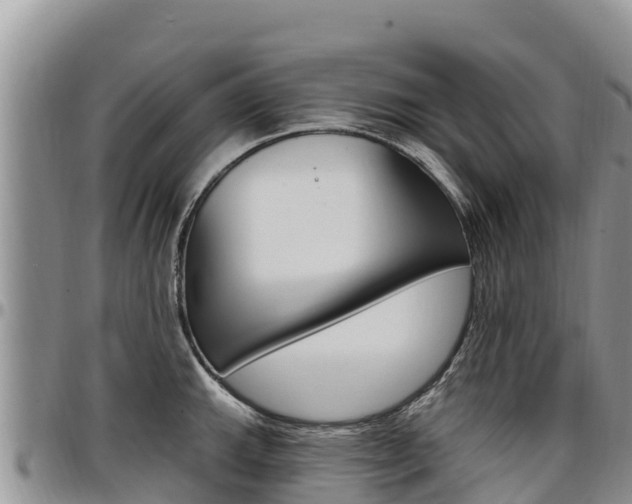 X0000097291143200802151053