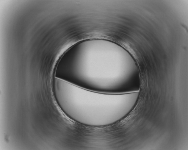 X0000097291144200802151053