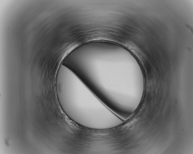 X0000097291145200802151053
