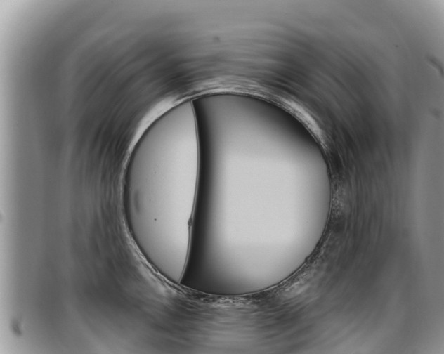 X0000097291146200802151053