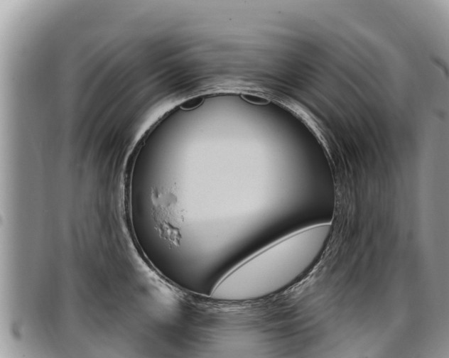 X0000097291147200802151053