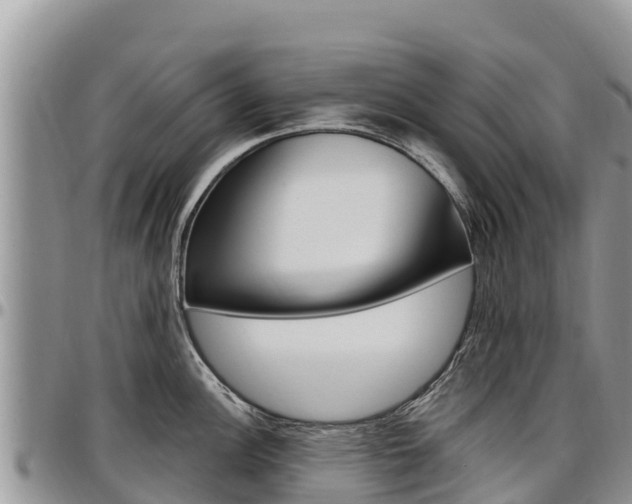 X0000097291148200802151053