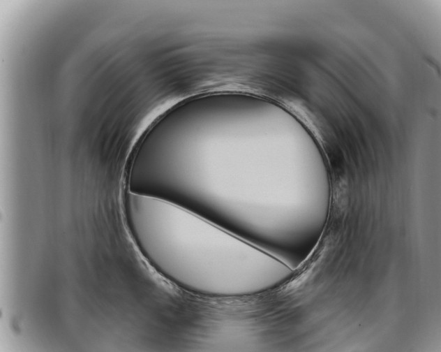 X0000097291149200802151053