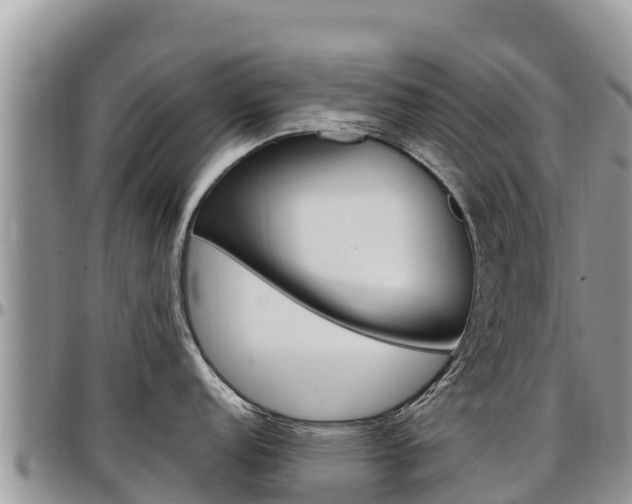 X0000097291152200802151053