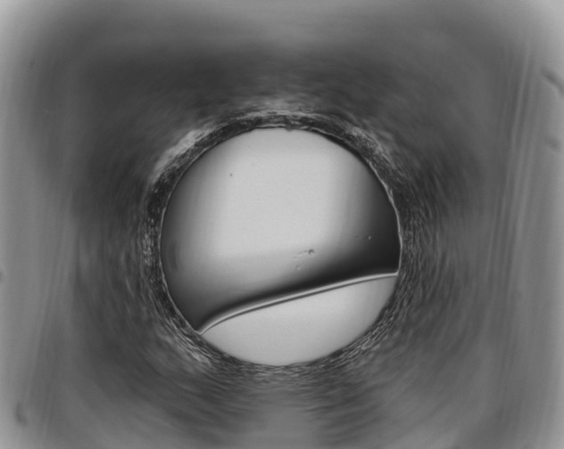X0000097291159200802151052