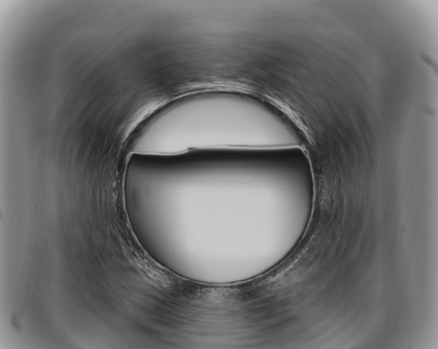 X0000097291163200802151052