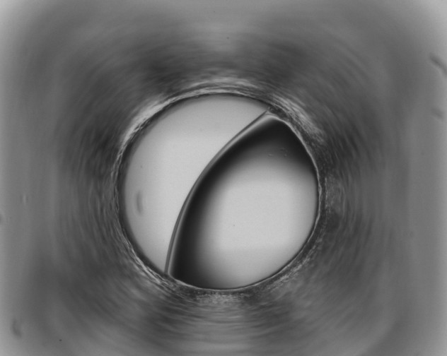 X0000097291164200802151052