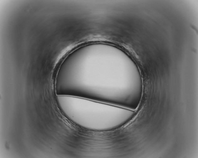 X0000097291167200802151052