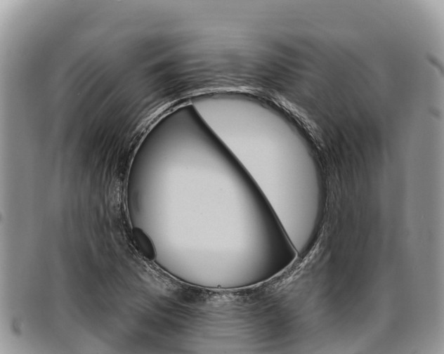 X0000097291169200802151052