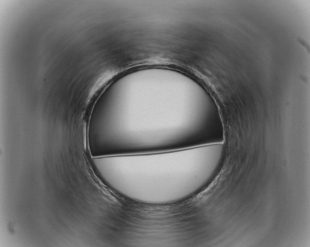 X0000097291171200802151052