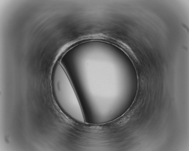 X0000097291176200802151052